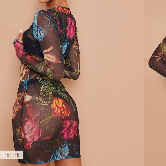 Bodycon Sheer Floral Mini Dress - Picture 4 of 8